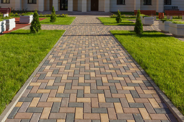 Best Residential Paver Driveway  in Jasmine Estates, FL